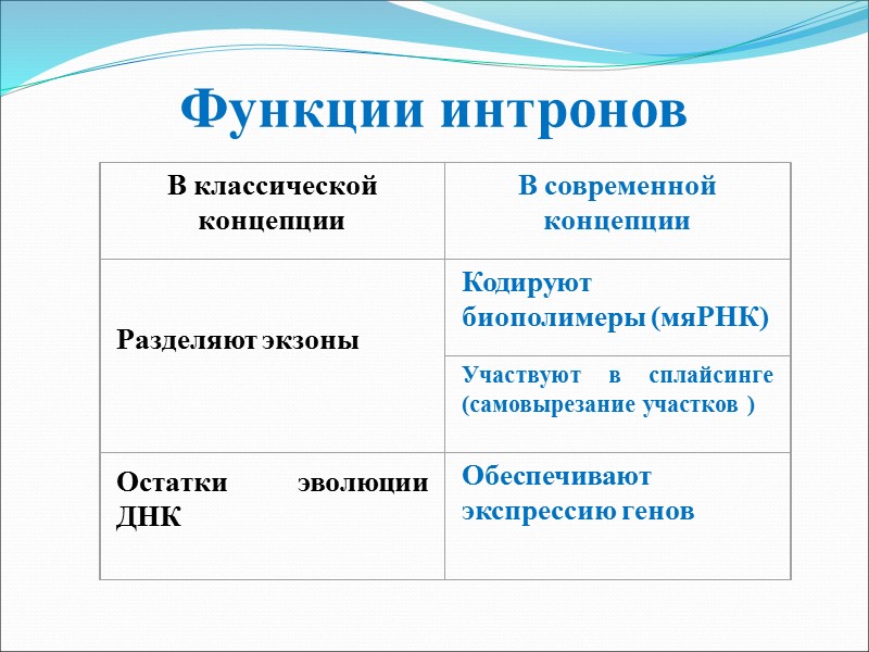 Функции интронов